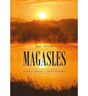 Magasles